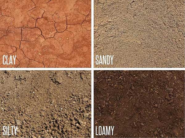 clay-sandy-silty-loamy